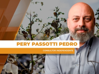 THUMBS - SITE - GNR - pery