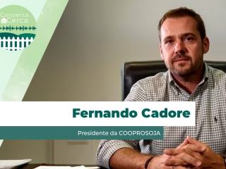 THUMBS - SITE -PDC - FERNANDO CADORE