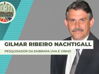 THUMBS - SITE - PDC - gilmar