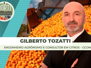 THUMBS - SITE - PDC - glberto