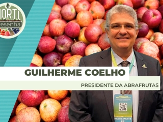 THUMBS - SITE - PDC - GUILHERME