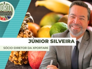 THUMBS - SITE - PDC - JUNIOR