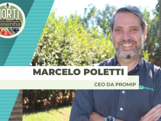 THUMBS - SITE - PDC - MARCELO