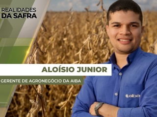 THUMBS - SITE - RLD - aloisio