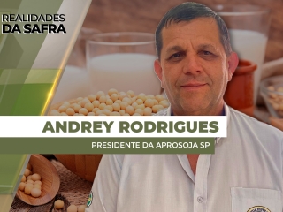 THUMBS - SITE - RLD - ANDREI