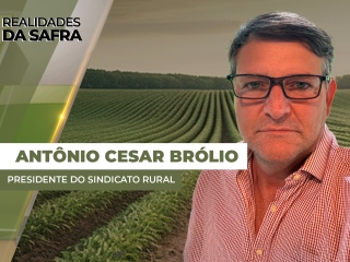 THUMBS - SITE - RLD - antonio