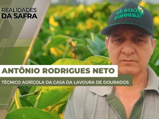 THUMBS - SITE - RLD - antonio