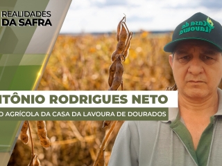 THUMBS - SITE - RLD - ANTONIO - NETO