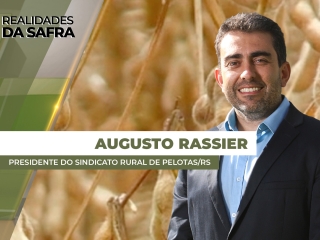 THUMBS - SITE - RLD - AUGUSTO