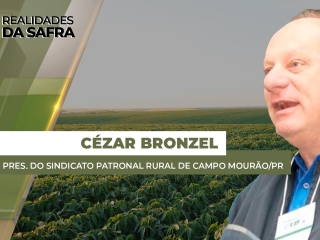 THUMBS - SITE - RLD - cezar