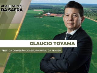 THUMBS - SITE - RLD - claucio