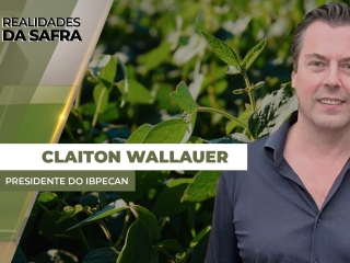 THUMBS - SITE - RLD - cleiton