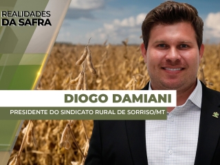 THUMBS - SITE - RLD - diogo