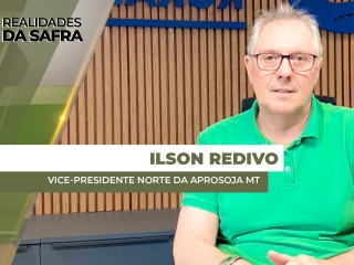 THUMBS - SITE - RLD - ilson