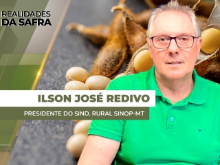 THUMBS - SITE - RLD - ilson