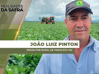 THUMBS - SITE - RLD - JOAO