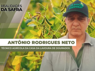 THUMBS - SITE - RLD - jose