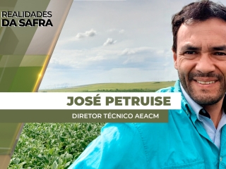 THUMBS - SITE - RLD - JOSE