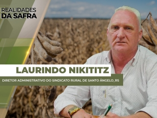 THUMBS - SITE - RLD - laurindo