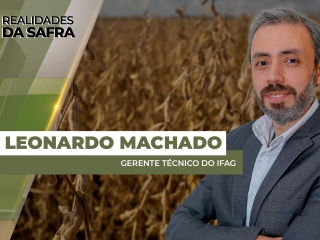 THUMBS - SITE - RLD - leonardo