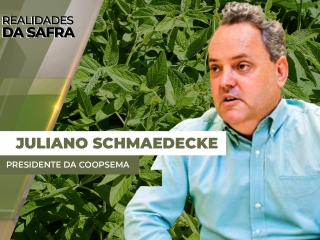 THUMBS - SITE - RLD - LUCIANO