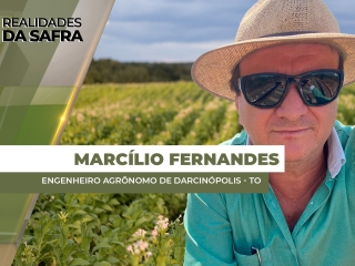 THUMBS - SITE - RLD - marcilio