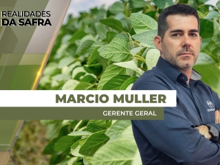 THUMBS - SITE - RLD - MARCIO