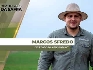 THUMBS - SITE - RLD - MARCOS S