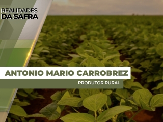 THUMBS - SITE - RLD - mario