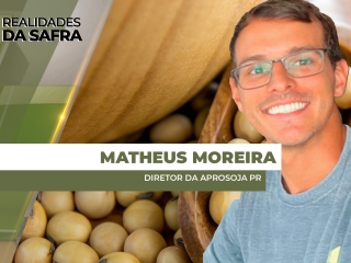 THUMBS - SITE - RLD - MATHEUS