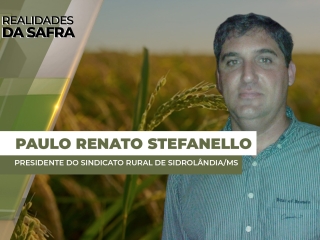 THUMBS - SITE - RLD - PAULO