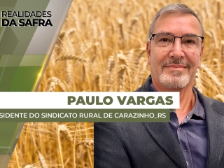 THUMBS - SITE - RLD - PAULO VARGAS