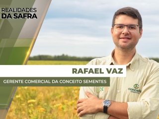 THUMBS - SITE - RLD - rafael