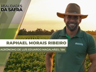 THUMBS - SITE - RLD - raphael