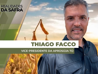 THUMBS - SITE - RLD - Thiago