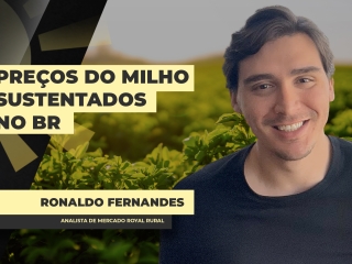 THUMBS - YT - CORTE - BDA - RONALDO