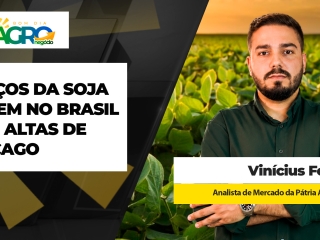 VINICIUS.jpg