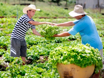 Agricultura familiar - 16:9