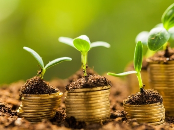 economia rural