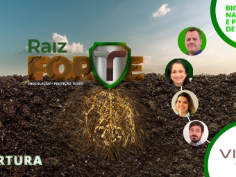 Abertura Raiz Forte - Vittia