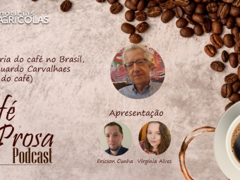 cafe prosa 16