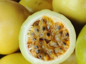 maracuja