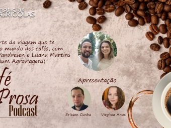 cafe prosa 20