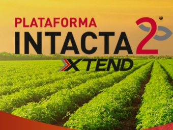 intacta2 xtend