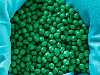 Teste de Sementes de Soja BASF