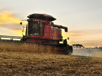 Imagens do dia - Colheita da soja safra 2015/16 na Fazenda Pinheiro Seco, em Campos Novos (SC). Envio de Jean Paulo Almeida