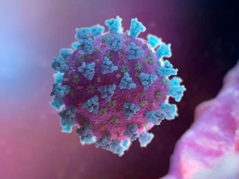Coronavirus 16:9