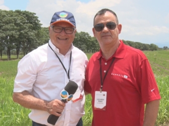 Luis Nery Ribas - Engenheiro Agrônomo - MT