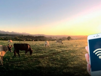 Internet no campo 16:9