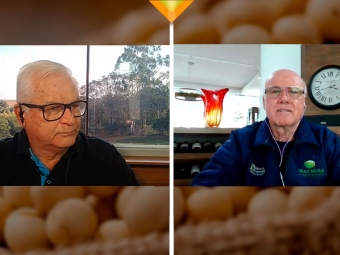 João Batista e Paulo Nicola